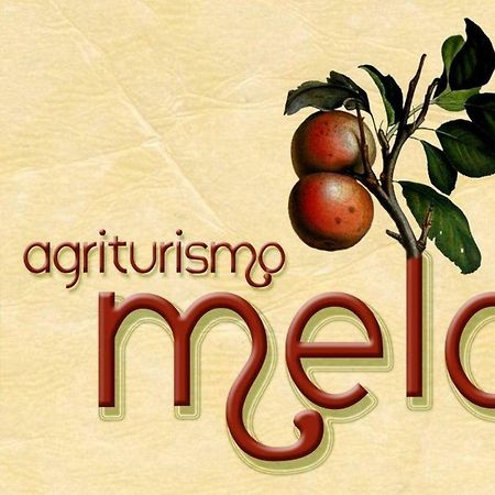 Agriturismo Il Melo Valfabbrica Екстериор снимка