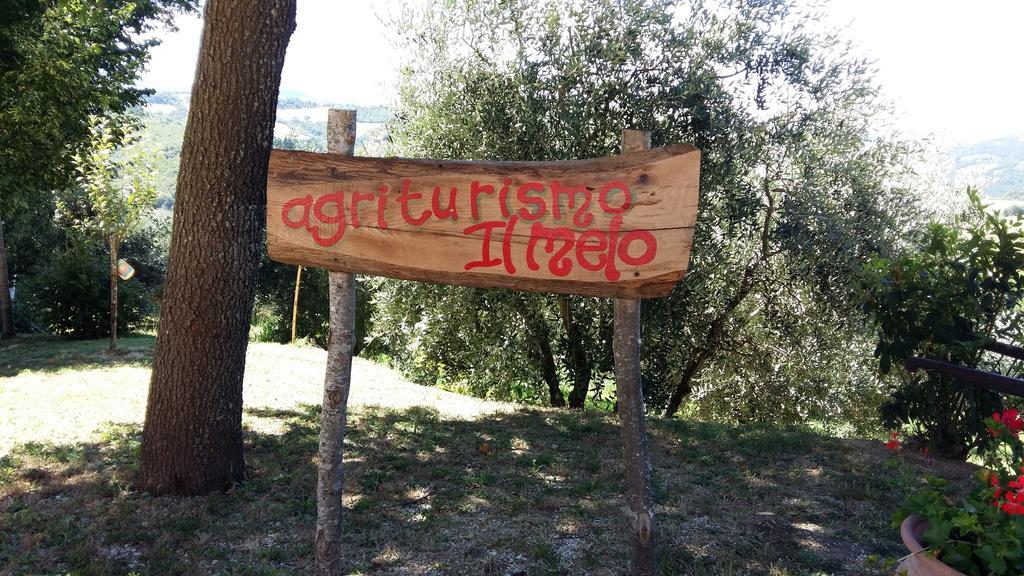 Agriturismo Il Melo Valfabbrica Екстериор снимка