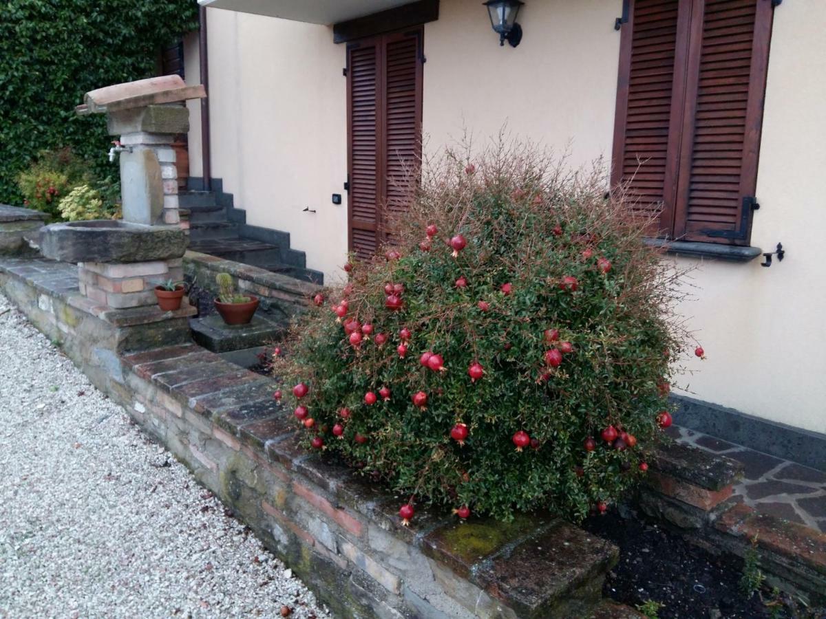 Agriturismo Il Melo Valfabbrica Екстериор снимка